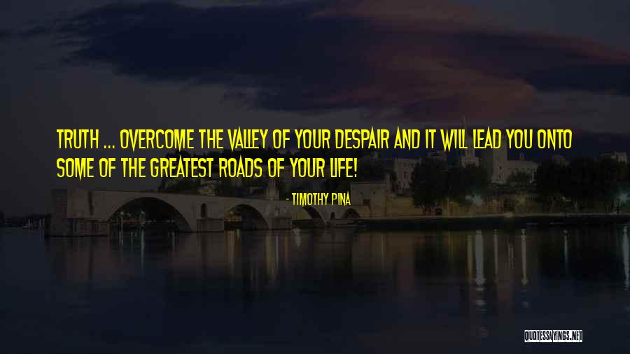 You Will Overcome Quotes By Timothy Pina