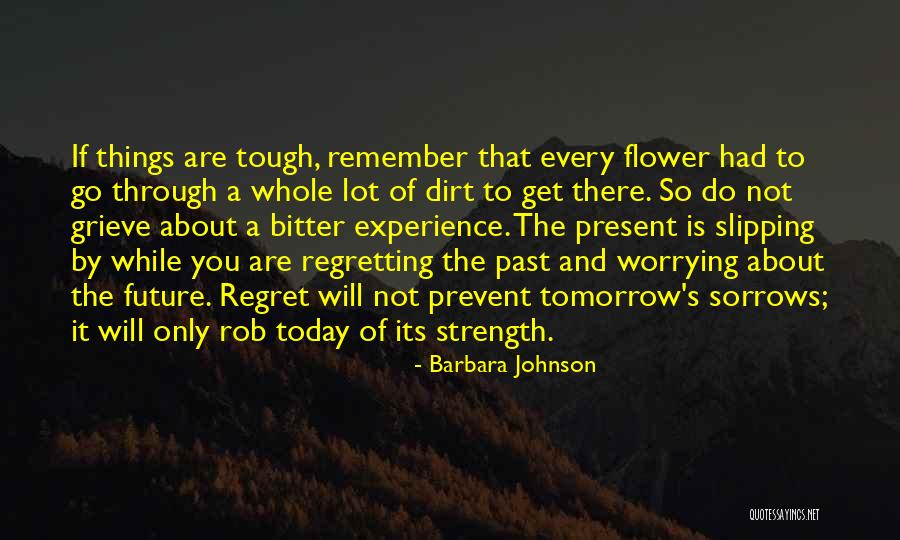 You Will Regret It Quotes By Barbara Johnson You Will Regret It Quotes By Barbara Johnson