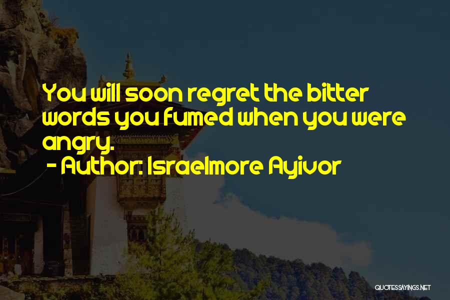 You Will Regret Quotes By Israelmore Ayivor