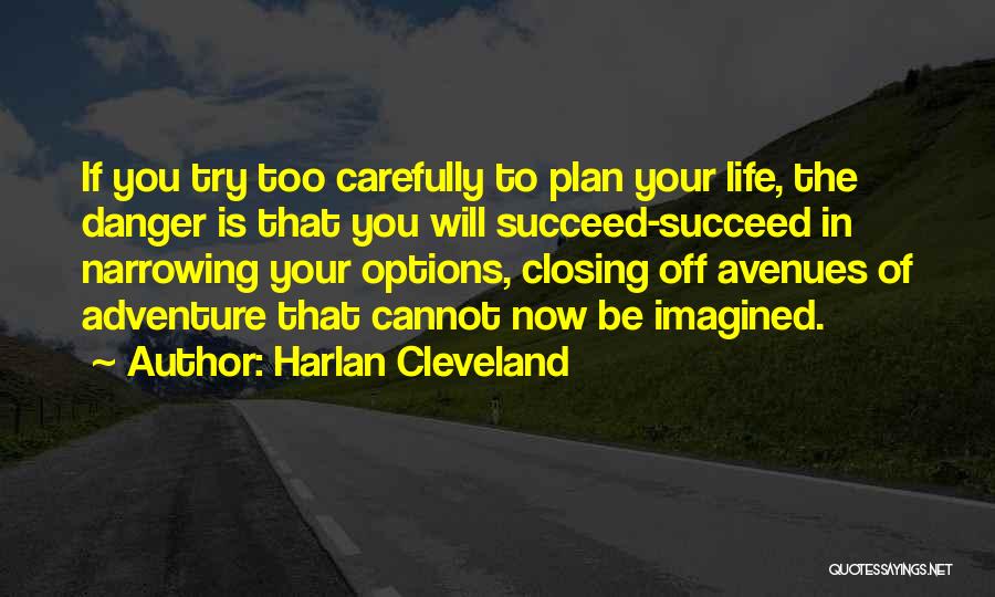 You Will Succeed In Life Quotes By Harlan Cleveland