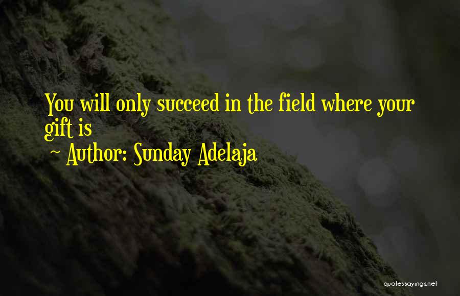 You Will Succeed In Life Quotes By Sunday Adelaja