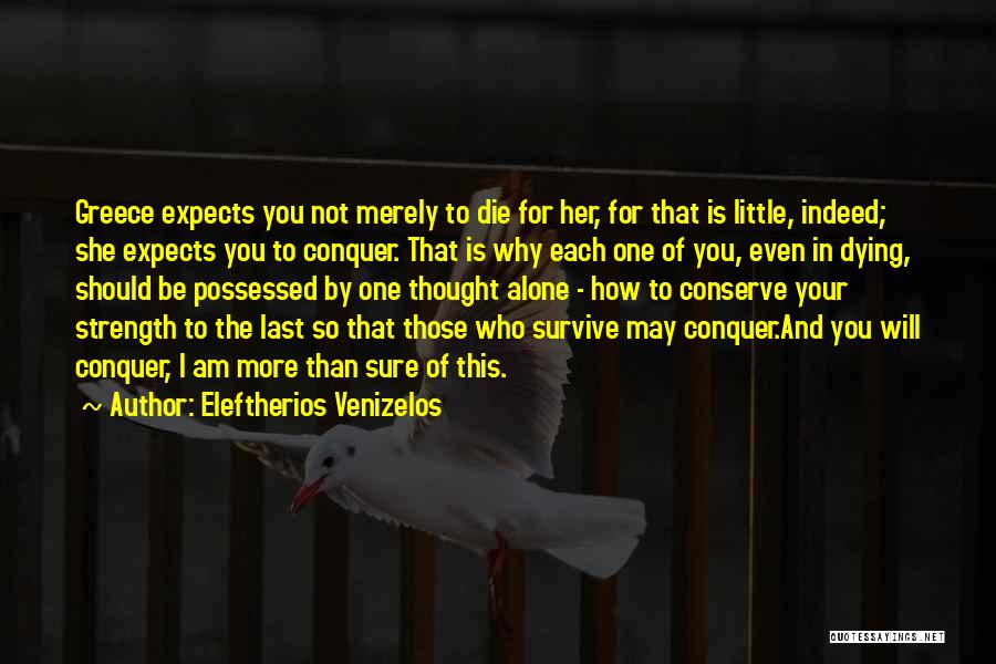 You Will Survive Quotes By Eleftherios Venizelos