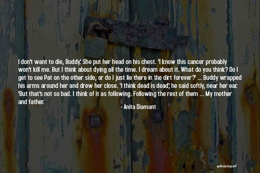You Won't Get Me Down Quotes By Anita Diamant You Won't Get Me Down Quotes By Anita Diamant