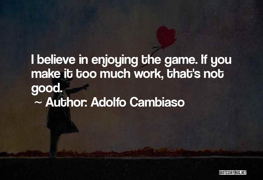 You Work Too Much Quotes By Adolfo Cambiaso