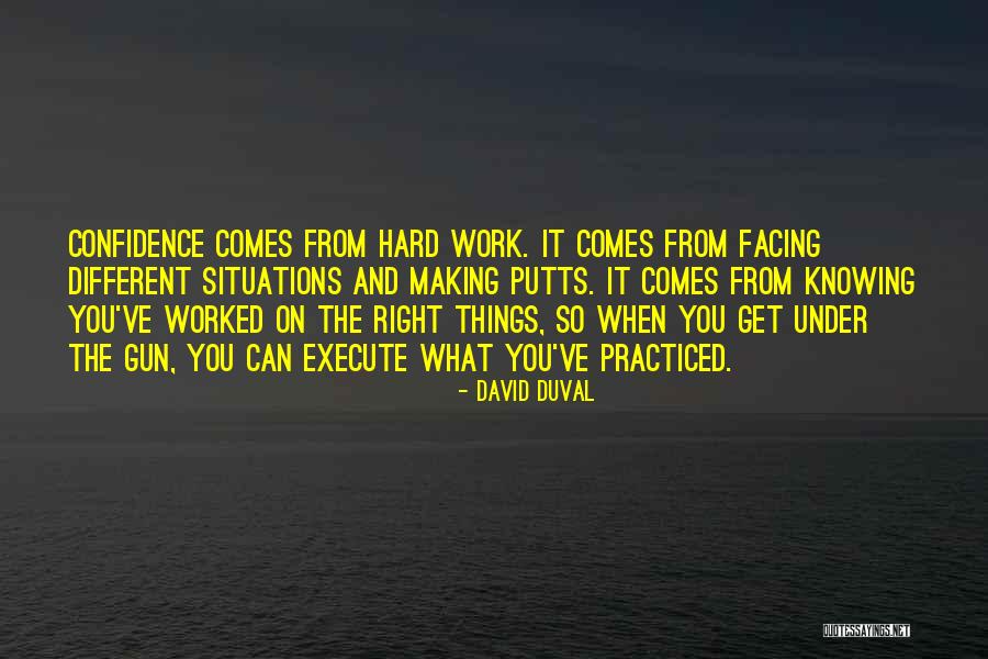 You Worked Hard Quotes By David Duval