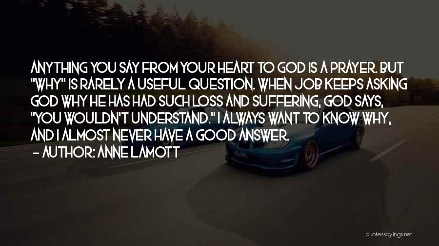 You Wouldn't Understand Quotes By Anne Lamott