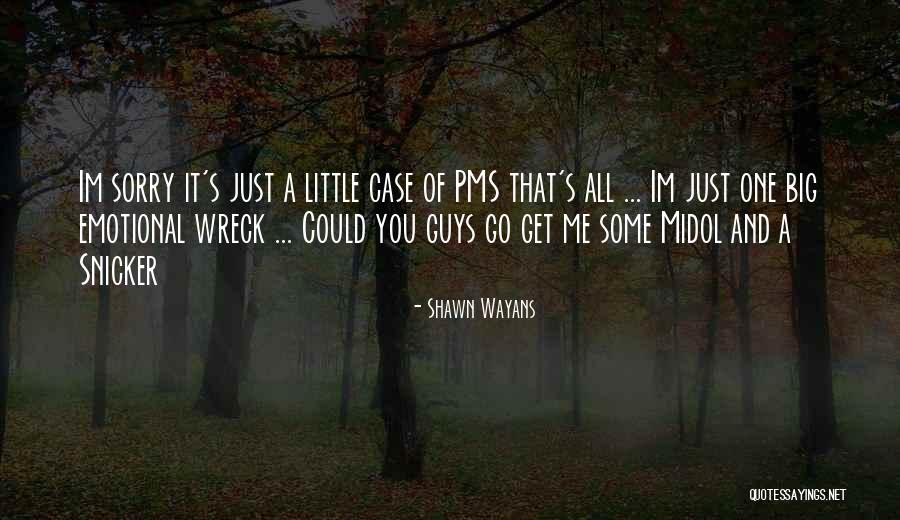 You Wreck Me Quotes By Shawn Wayans