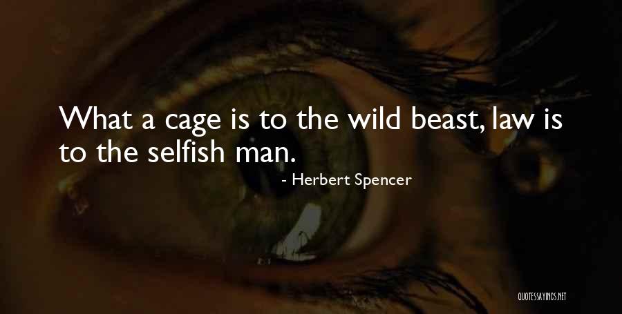 You Write What Youre Quotes By Herbert Spencer You Write What Youre Quotes By Herbert Spencer