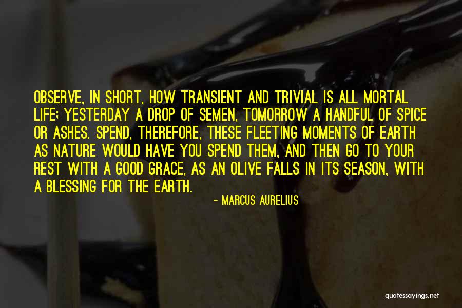 Youenn Bothorel Quotes By Marcus Aurelius Youenn Bothorel Quotes By Marcus Aurelius