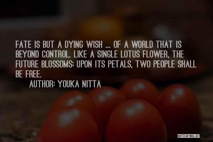 Youka Nitta Quotes 190628