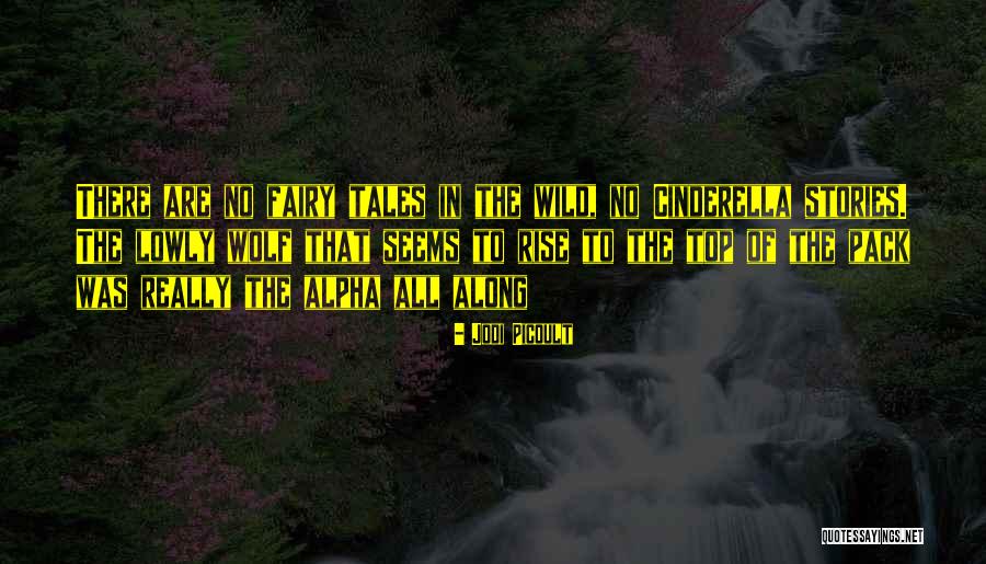Youko X Boku Ss Quotes By Jodi Picoult Youko X Boku Ss Quotes By Jodi Picoult