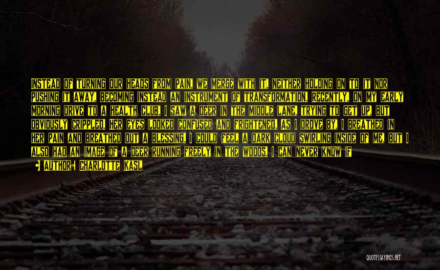 You'll Never Know My Pain Quotes By Charlotte Kasl You'll Never Know My Pain Quotes By Charlotte Kasl