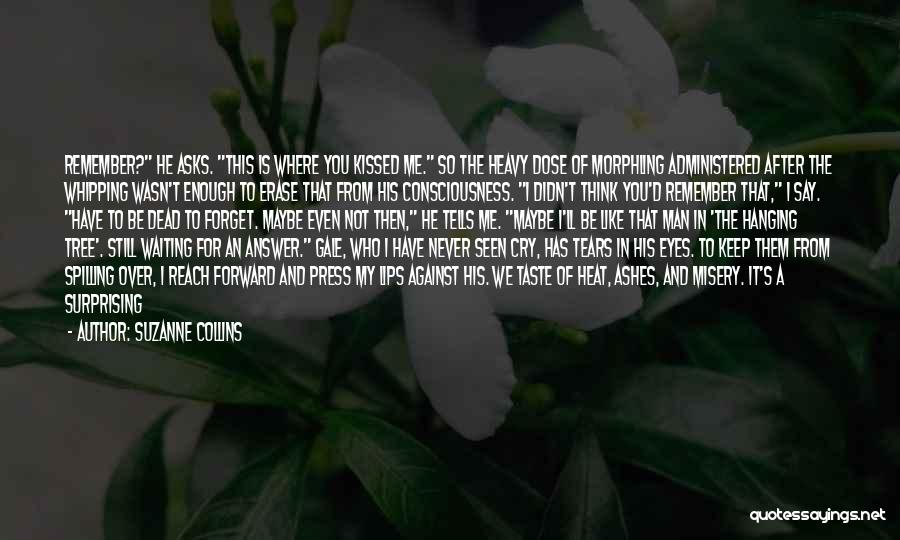You'll Never Know My Pain Quotes By Suzanne Collins You'll Never Know My Pain Quotes By Suzanne Collins