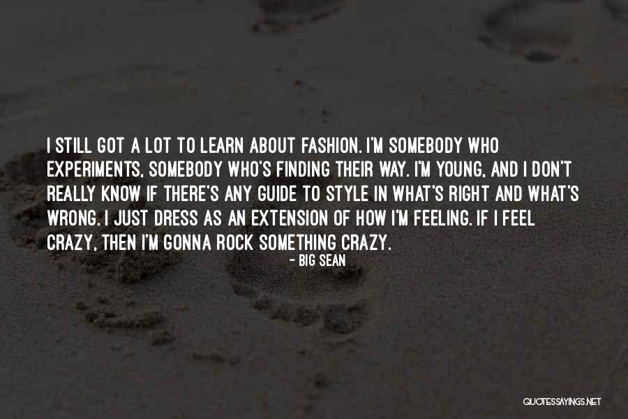 Young And Crazy Quotes By Big Sean