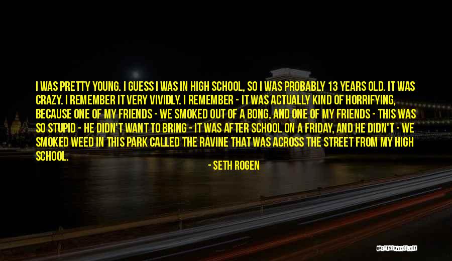 Young And Crazy Quotes By Seth Rogen