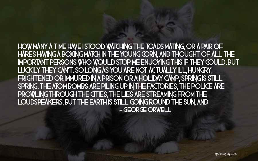 Young And Hungry Quotes By George Orwell Young And Hungry Quotes By George Orwell