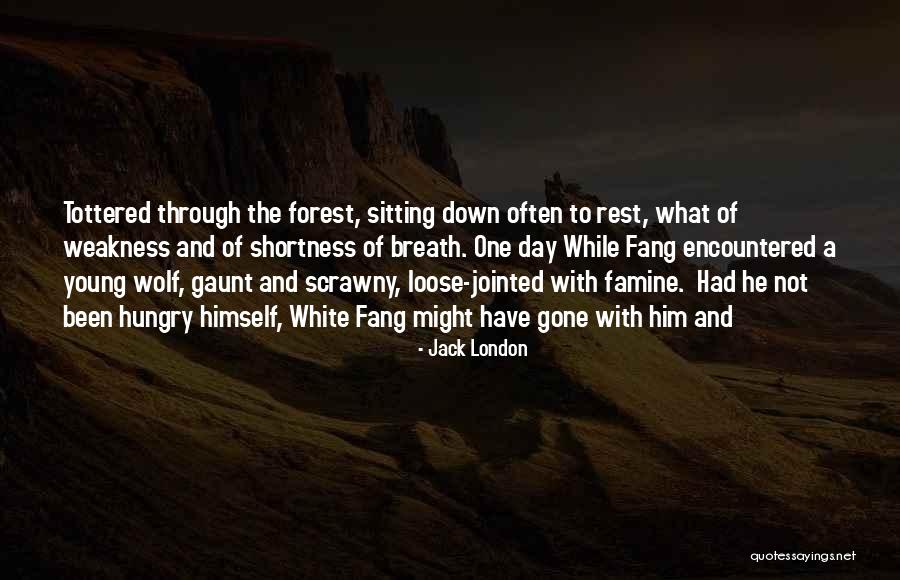 Young And Hungry Quotes By Jack London Young And Hungry Quotes By Jack London