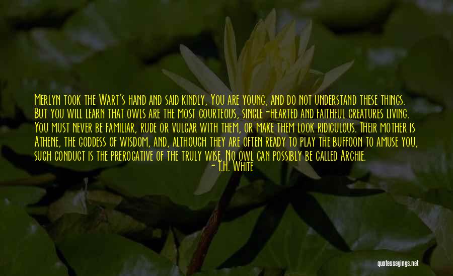 Young And Single Quotes By T.H. White Young And Single Quotes By T.H. White