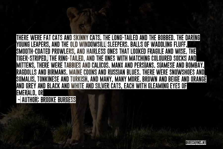 Young And Wise Quotes By Brooke Burgess Young And Wise Quotes By Brooke Burgess