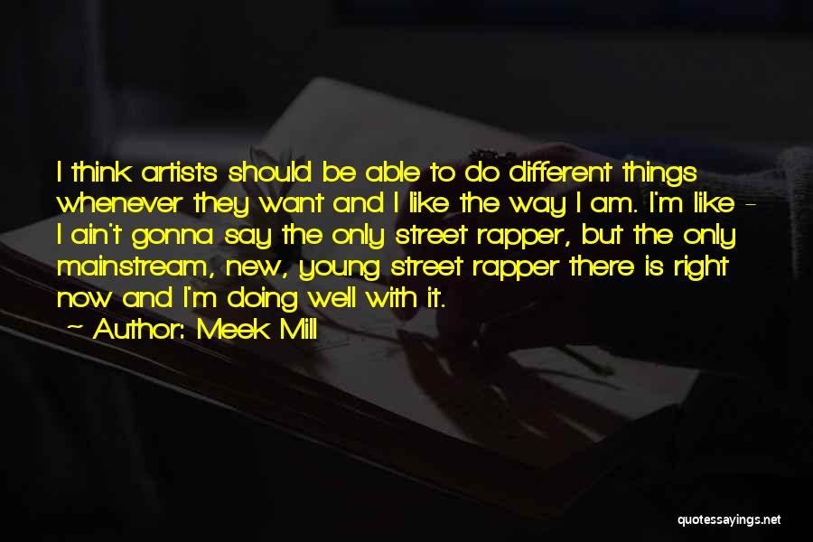 Young Artists Quotes By Meek Mill