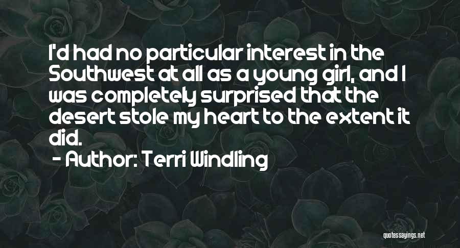 Young At Heart Quotes By Terri Windling