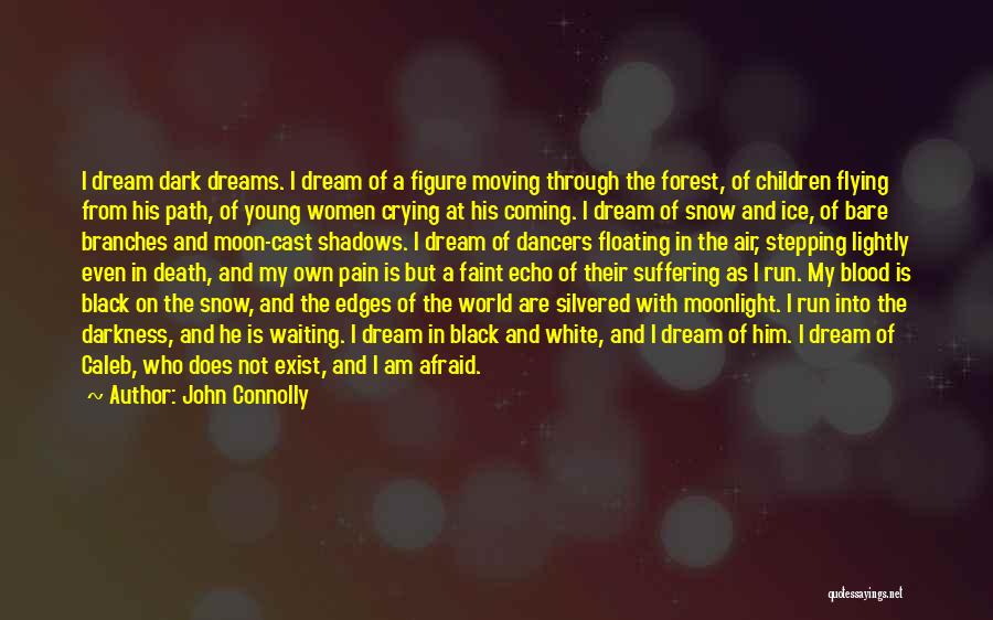 Young Dancers Quotes By John Connolly