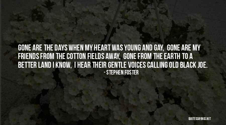 Young Days Quotes By Stephen Foster Young Days Quotes By Stephen Foster