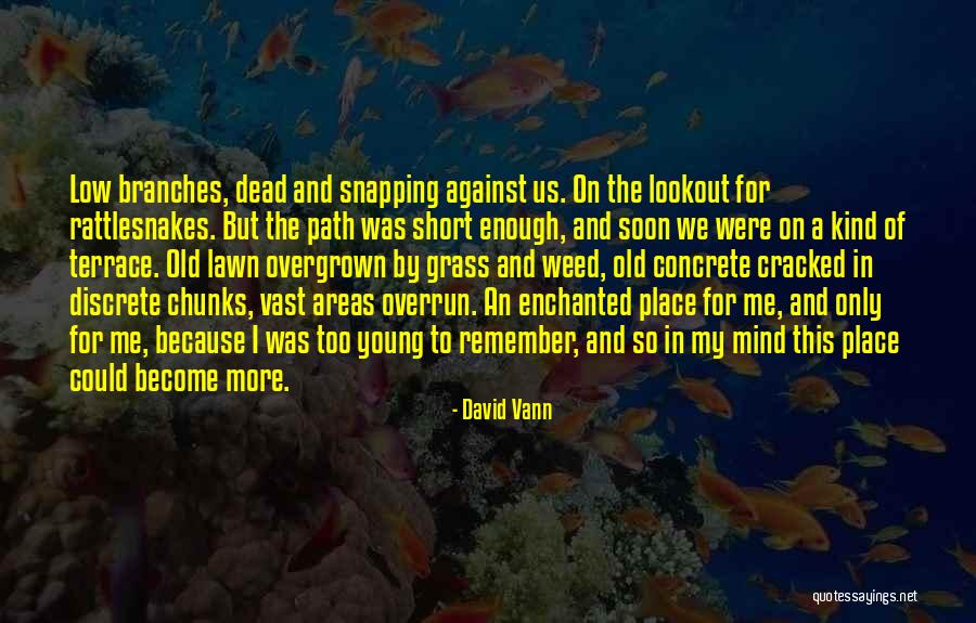 Young Dead Quotes By David Vann Young Dead Quotes By David Vann