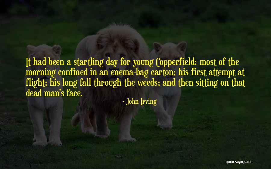 Young Dead Quotes By John Irving Young Dead Quotes By John Irving