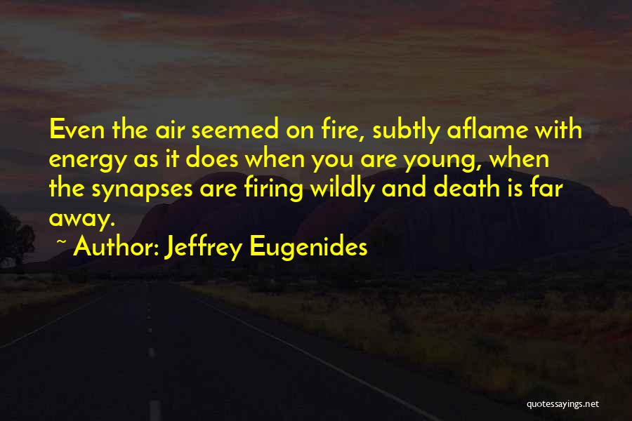 Young Death Quotes By Jeffrey Eugenides