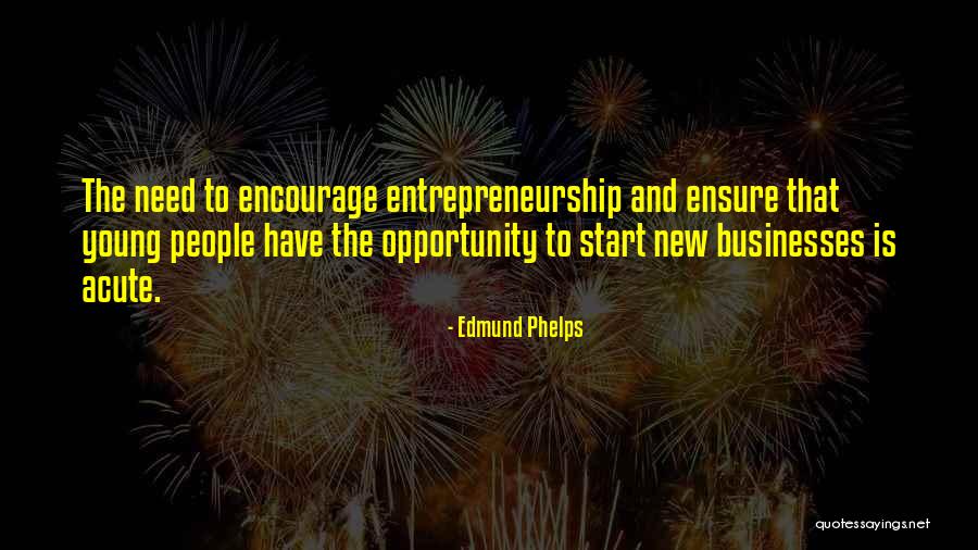 Young Entrepreneurship Quotes By Edmund Phelps