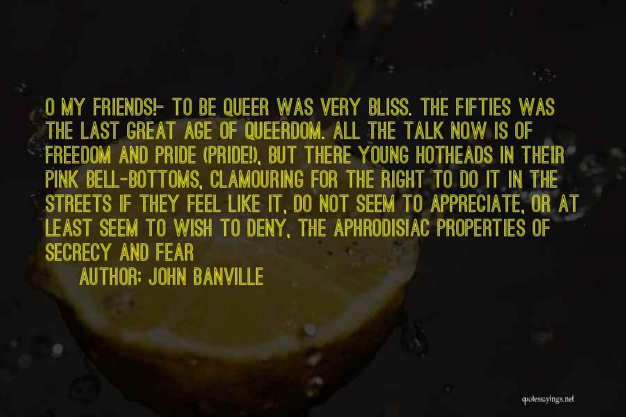 Young Friends Quotes By John Banville