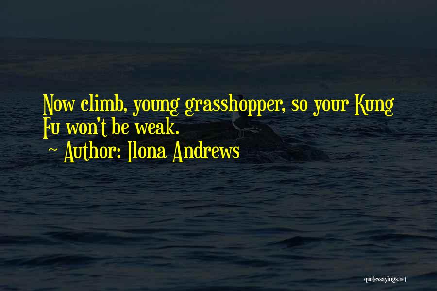 Young Grasshopper Quotes By Ilona Andrews