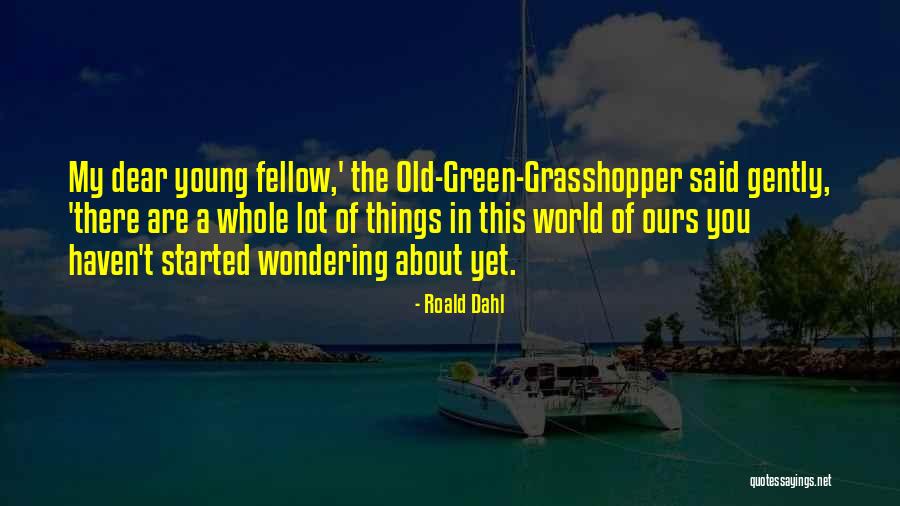 Young Grasshopper Quotes By Roald Dahl Young Grasshopper Quotes By Roald Dahl
