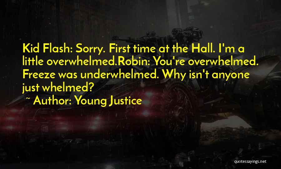 Young Justice Quotes 780766
