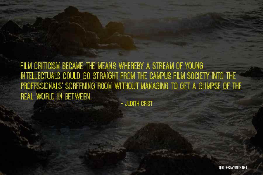 Young Professionals Quotes By Judith Crist Young Professionals Quotes By Judith Crist