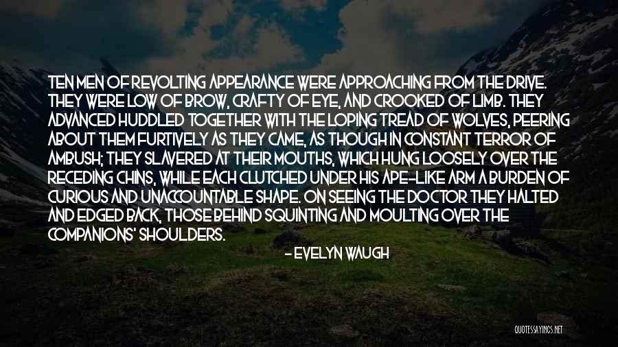 Young Tori Quotes By Evelyn Waugh Young Tori Quotes By Evelyn Waugh