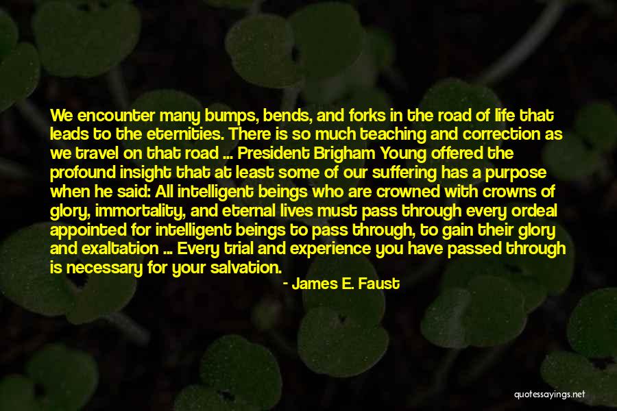 Young Travel Quotes By James E. Faust