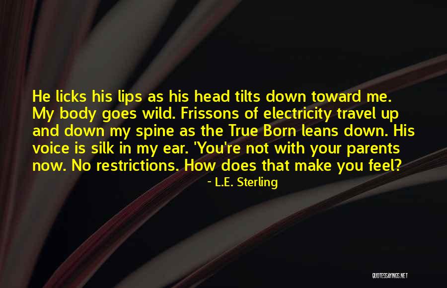 Young Travel Quotes By L.E. Sterling