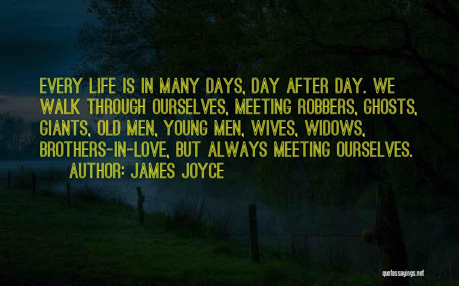 Young Widows Quotes By James Joyce