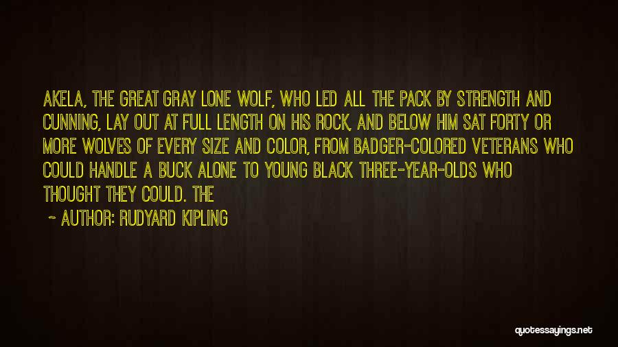 Young Wolf Quotes By Rudyard Kipling