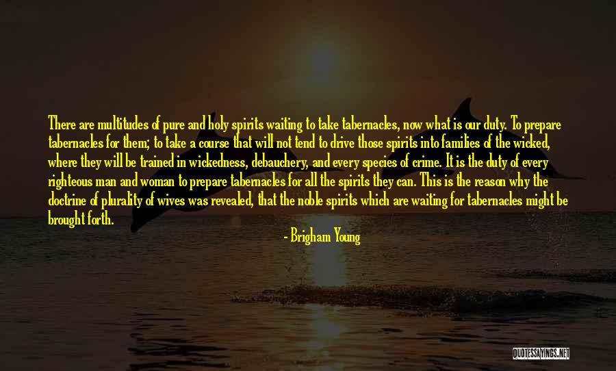 Young Woman Quotes By Brigham Young Young Woman Quotes By Brigham Young