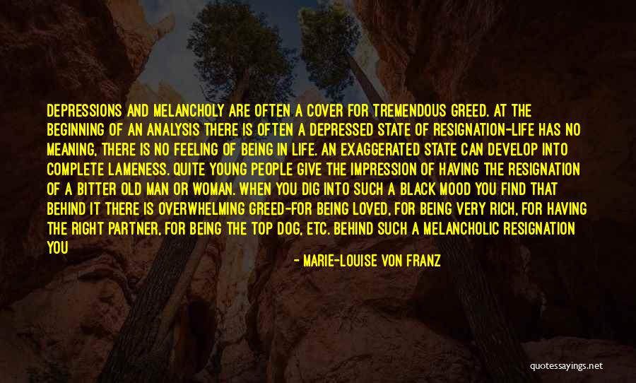 Young Woman Quotes By Marie-Louise Von Franz Young Woman Quotes By Marie-Louise Von Franz