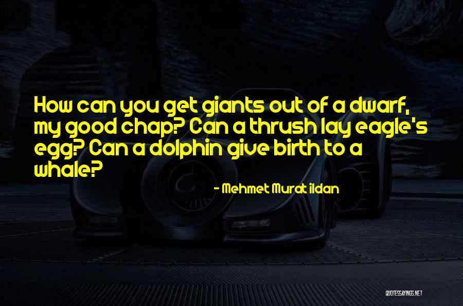 Youngjae Cute Quotes By Mehmet Murat Ildan Youngjae Cute Quotes By Mehmet Murat Ildan