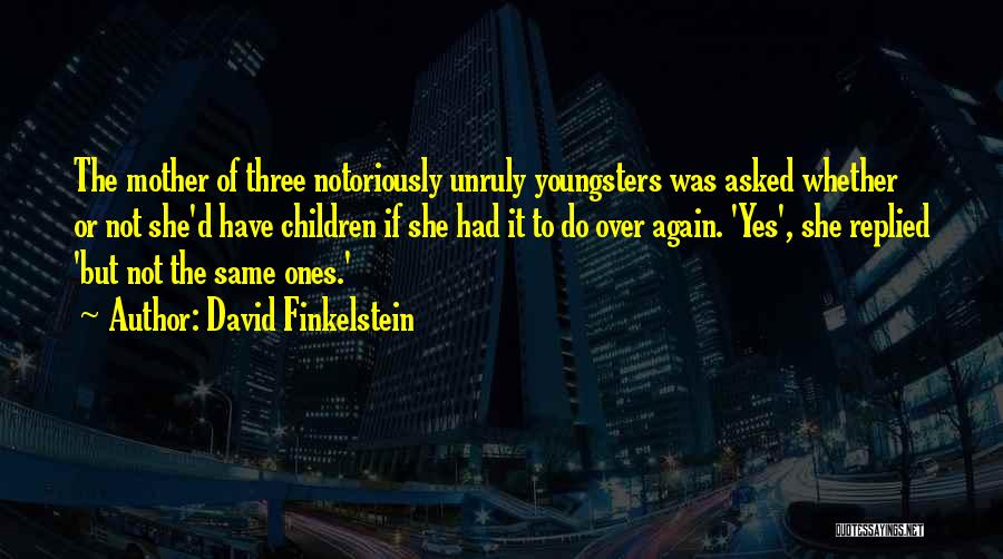 Youngsters Quotes By David Finkelstein
