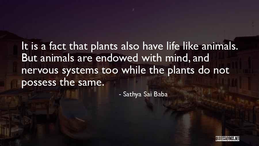 Youofa Quotes By Sathya Sai Baba Youofa Quotes By Sathya Sai Baba