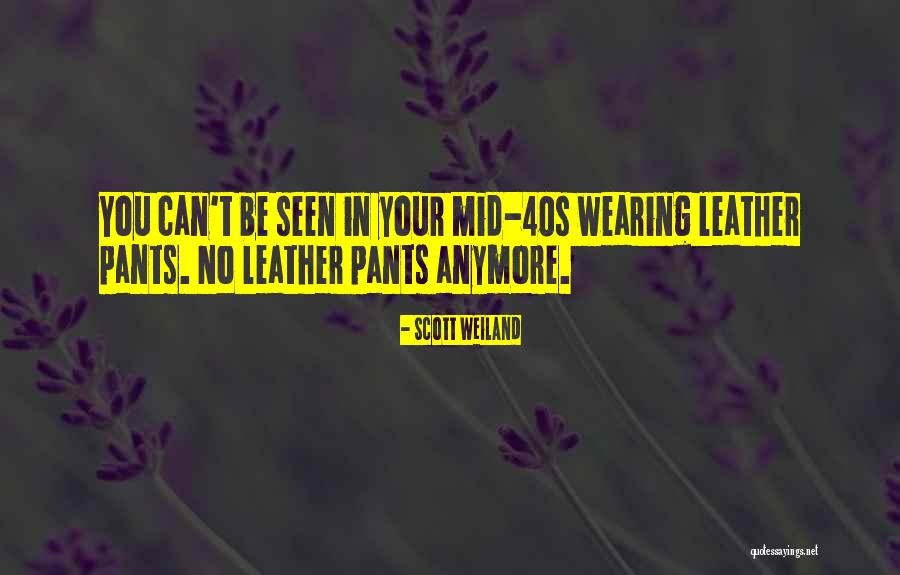 Your 40s Quotes By Scott Weiland Your 40s Quotes By Scott Weiland