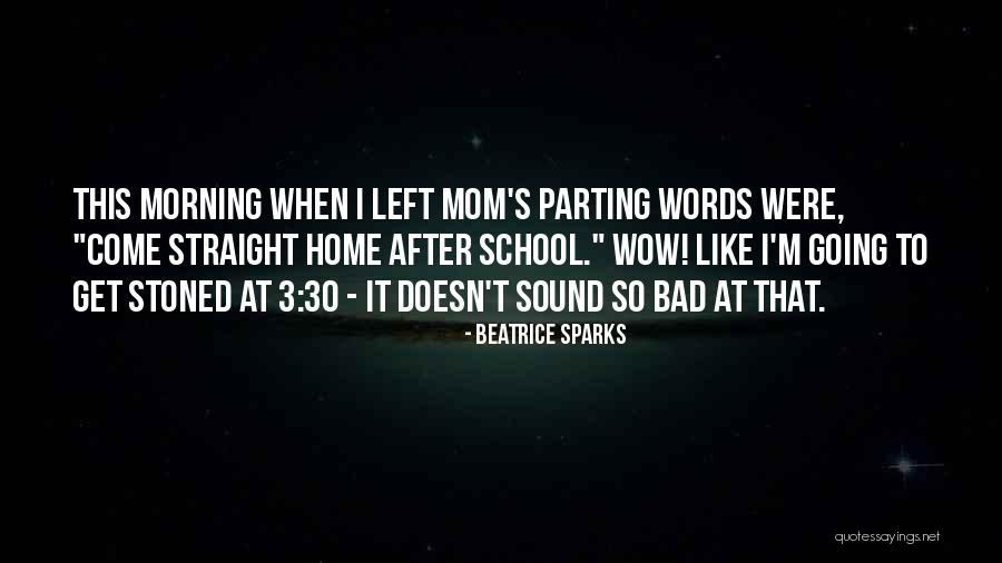 Your A Bad Mom Quotes By Beatrice Sparks Your A Bad Mom Quotes By Beatrice Sparks