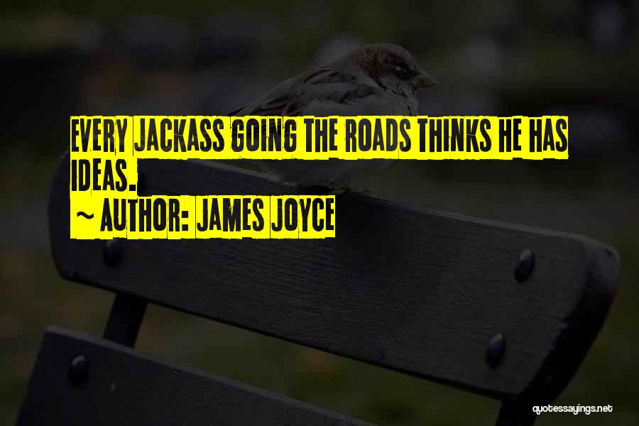 Your A Jackass Quotes By James Joyce