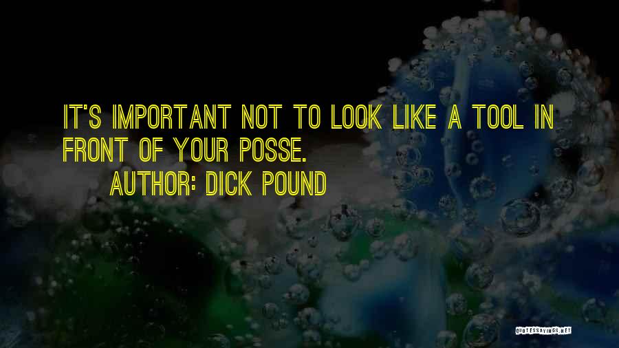Your A Tool Quotes By Dick Pound